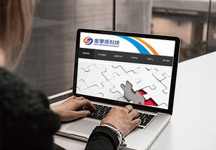 智慧互聯，專業信賴——金掌柜電子科技公司LOGO設計方案